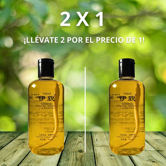 Shampoo de jengibre 2x1 + Ginger Oil 98%
